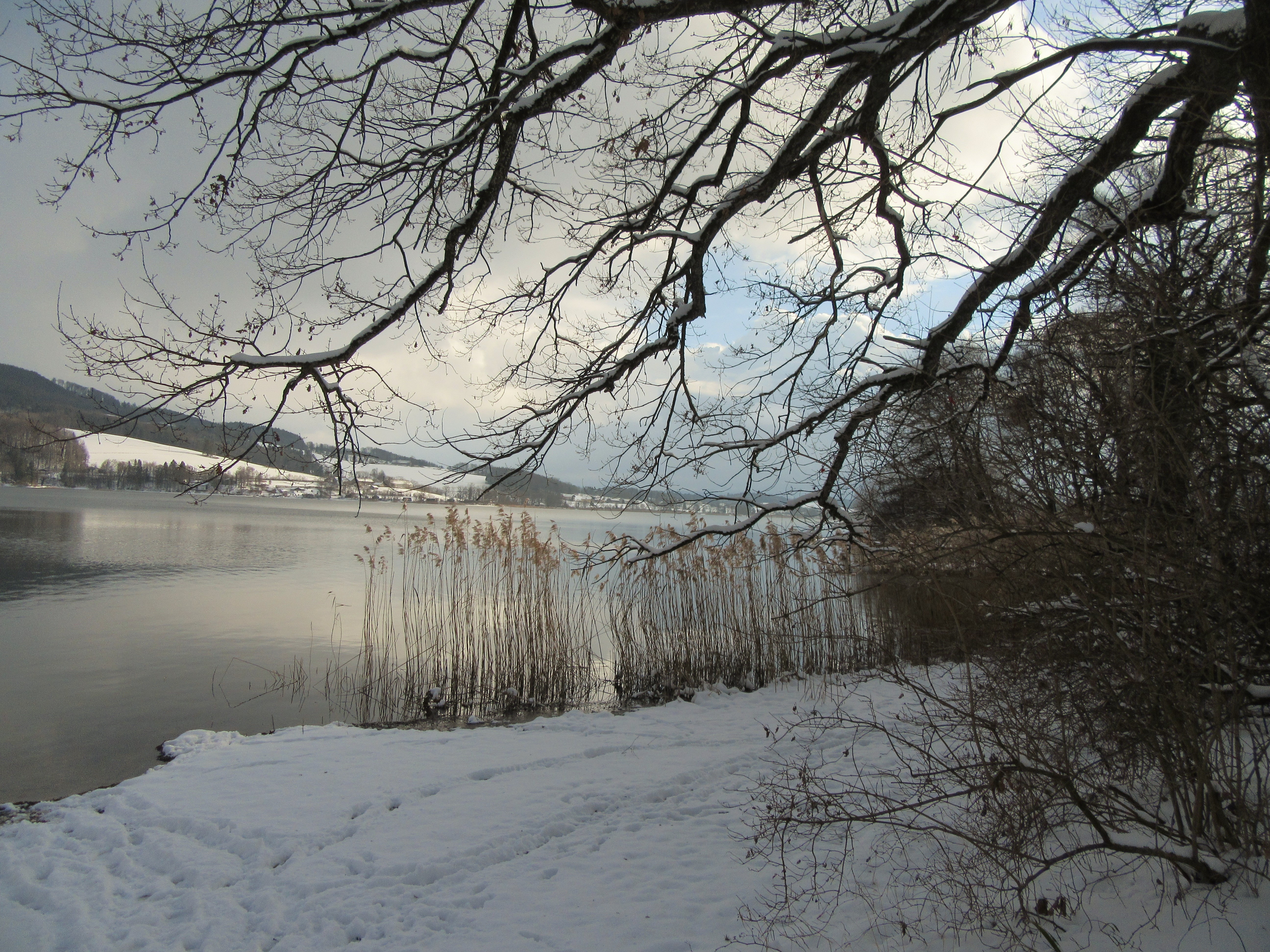 Winterstimmung am Obertrumersee (Seeham) © Edith Gangl