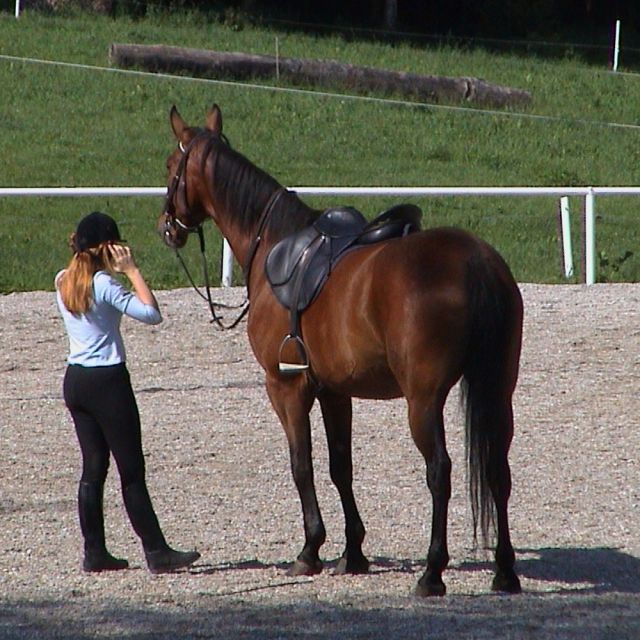 Sport / Reiten / Reiterin mit Pferd auf einer Außen-Reitanlage (Symbolfoto) © Roland Vidmar