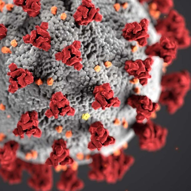 Gesundheit: Virus (Symbolfoto) © CDC / Unsplash.com (Bild: w9KEokhajKw)